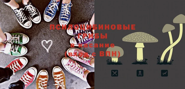 хмурый Абинск